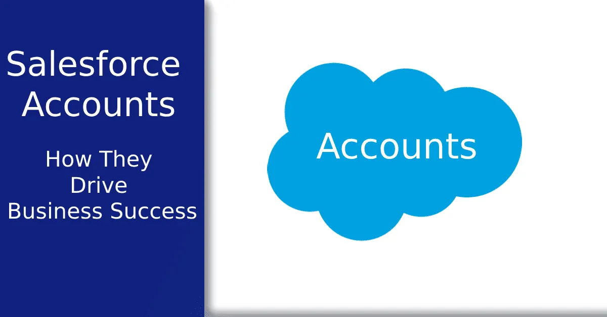 What are Salesforce Accounts