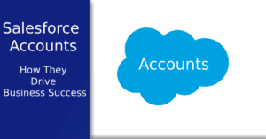 Understanding the Salesforce Accounts object