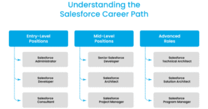 Salesforce Admin vs Developer